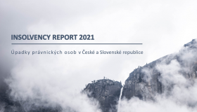 Insolvency Report 07/2021